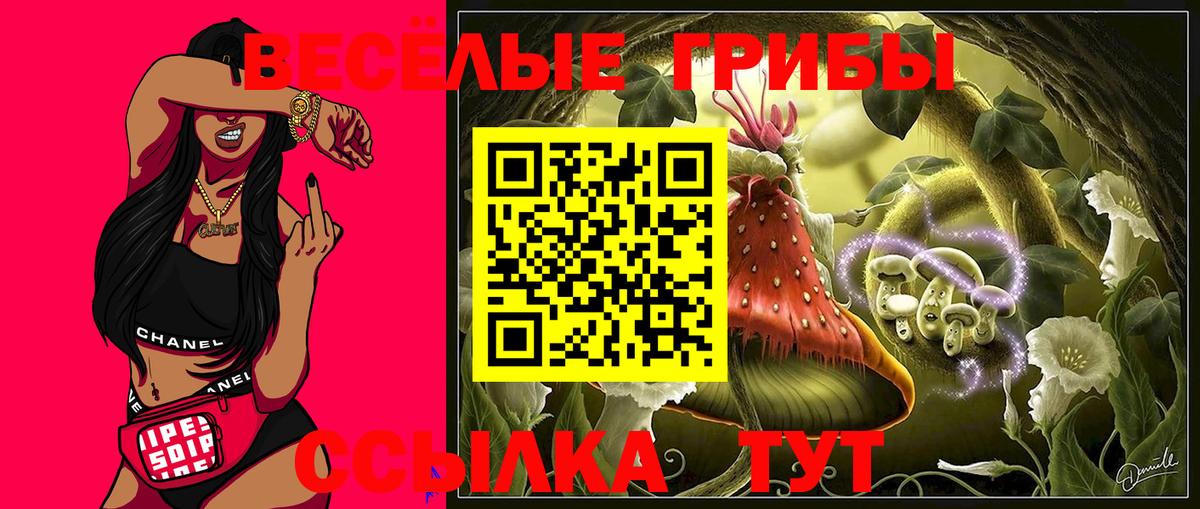 где найти   Вход с VPN  Павловский Посад  Псилоцибиновые грибы Cubensis 