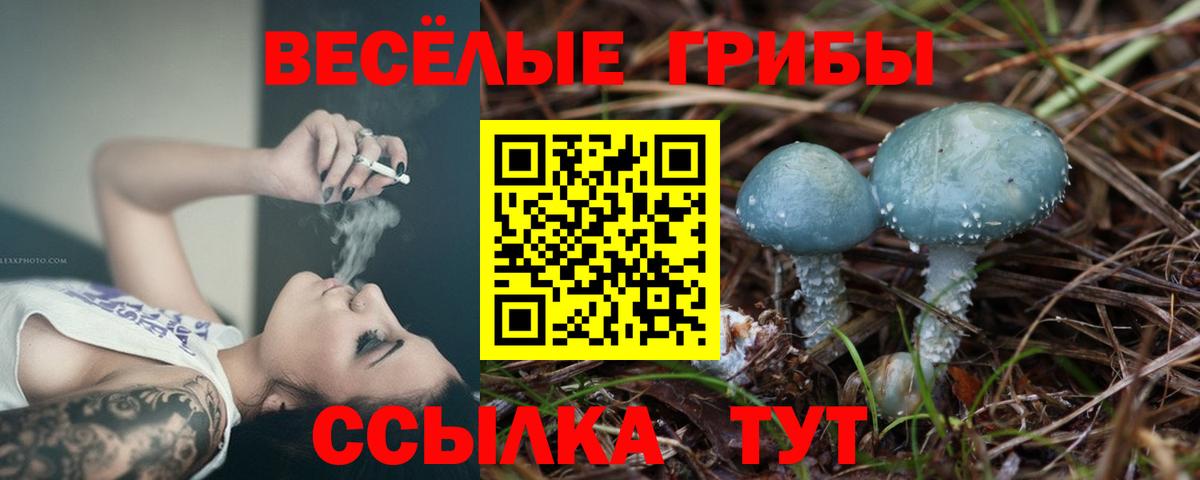 Галлюциногенные грибы мухоморы Павловский Посад